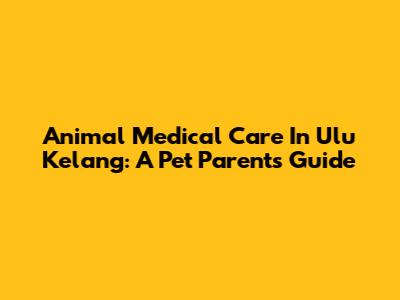 Animal Medical Care In Ulu Kelang: A Pet Parent's Guide