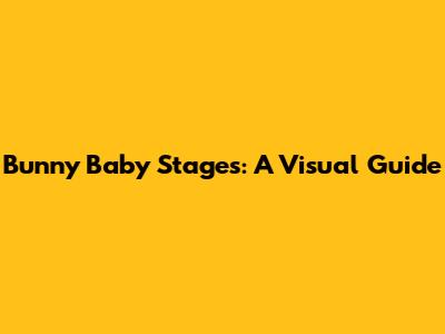 Bunny Baby Stages: A Visual Guide