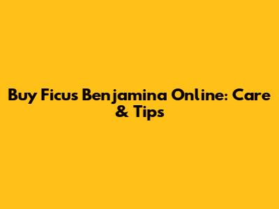 Buy Ficus Benjamina Online: Care & Tips